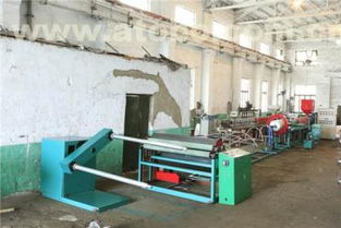 珍珠棉就选龙口塑机 专业生产线助力高效生产